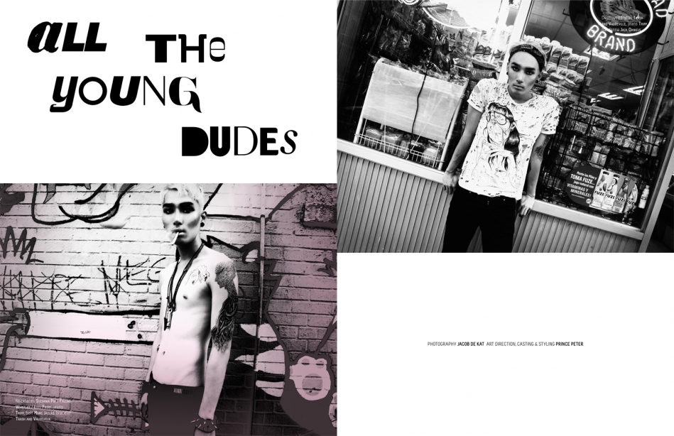 all the young dudes all the young dudes