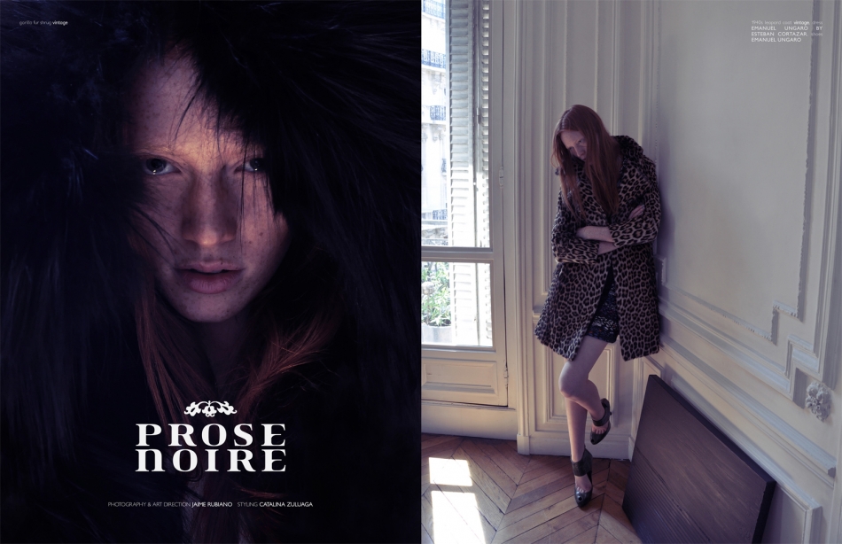 prose noire prose noire