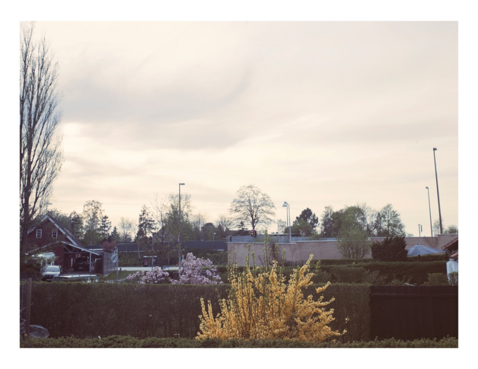 Suburbia
