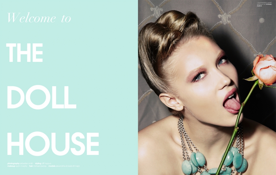 welcome to the dollhouse