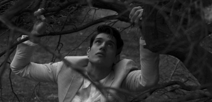 Fall of Cupid