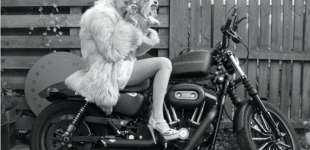 Kristin Vicari, photographer